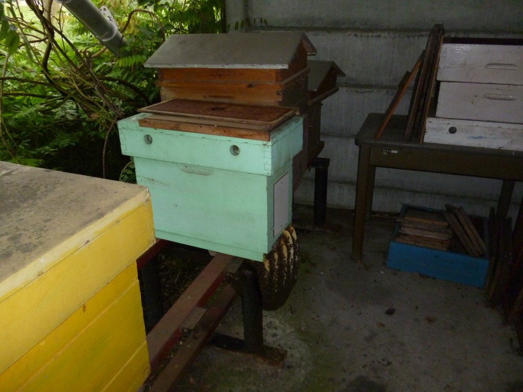P1000458